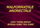 Malformatii Ano - Rectale