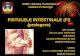 fistule intestinale