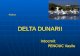 Proiect delta dunarii