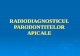 Curs 3  radiodiagnosticul parodontitelor apicale