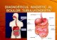 Diagnosticul Imagistic Al Bolilor Tubului Digestiv
