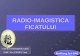 Radio Imagistica Ficatului