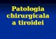 Patologia Chirurgicala a Tiroidei Curs