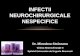 Infectii neurochirurgicale nespecifice
