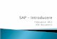 1. SAP - Introducere