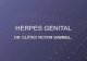 02 Herpes Genital