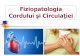 4. Fiziopatologia Cordului Si Circulatiei