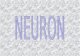 Celule nervoase   totul despre neuroni - Atlas de neuroanatomie