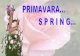 Primavara Spring