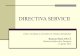 Directiva Servicii   libera circulatie a serviciilor (Ramona Ciuca MAEur)