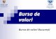 Bursa de Valori Si Mecanismul Functionarii Ei - Studiu de Caz BVB