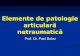 Curs IV - Elemente de Patologie Articulara Netraumatica