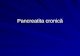 Pancreatita Cronica (1)