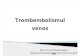 C4 Trombembolismul Venos