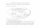 TEORIA ‍I METODOLOGIA CURRICULUMULUI+ curs pdf (1)