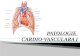 Chirurgie Cardiovasculara Curs VI Patologie Cardio-Vasculara I