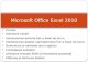Microsoft Office Excel 2010 (1)