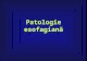 Patologie Esofagiana- Curs 1