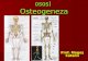 137157448 Scheletul Uman Osteogeneza