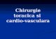 Chirurgie Toracica Si Cardiovasculara Planuri de Lectie