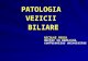 Proca 2012 Patologia Vezicii Biliare