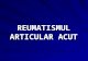 Reumatismul artricular