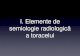 Elemente de semiologie radiologica a toracelui