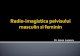 Radio-imagistica pelvisului masculin si feminin
