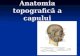 Anatomia Topografica a Capului