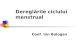 Dereg Ciclului Menstrual HUD 2011