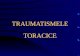 TRAUMATISMELE TORACICE