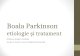 Boala  Parkinson etiologie şi tratament