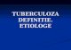 TUBERCULOZA DEFINITIE. ETIOLOGE