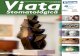 Revista Viata Stomatologica nr. 02-09
