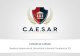 Fundatia CAESAR Prezentare 2015