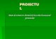 A. Proiectul - Lucr Practice - PAC 2015