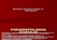 Socul _ Fiziopatologie Si Tratament