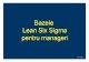 Lean Six Sigma Pentru Manageri