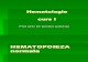 Hematologie farmacologie