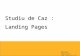 2009.12.08 Adriana CEAUSESCU - Studiu de caz - Landing pages, campanie Transport frigorific