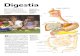 TUBUL DIGESTIV Digestia 'incepe 'indatii ce miincarea ... · PDF fileEsofagul este o conduct:I musculo-membra-noas~ ale c~rei capete sunt inchise de ni~te inele musculoase. Orifici1le