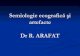 Semiologie ecografică şi artefacte Dr R. ARAFAT - sfmc.eu ecografica si artefacte R_ Arafat.pdf · Ecogenitatea Hiperecogen: generează mai mult semnal decât structurile învecinate