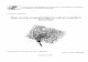Reprezentarea plasticităţii în cadrul modelării neuronale stefan/lucrare_licenta.pdf · PDF fileneuronului (creşterea numărului de compartimente, acurateţea modelării canalelor