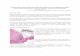 Tumoră gastrointestinală stromală descoperită la ...cercetaremedicala.ro/bnc/images/docs/4564544.pdf · Fiind o patologie relativ recentdescoperită, epidemiologia GIST este slab