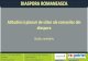 DIASPORA ROMANEASCA - · PDF fileSistemul sanitar Nivelul de trai ridicat Mentalitate diferita Romanii apreciaza nivelul de trai si mentalitatea tarii in care au emigrat Principalele