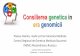 Consilierea genetica in era genomicii - bolirareromania.ro · Consultul genetic Definitie= act medical specializat si complex, realizat de catre un medic genetician, prin care se
