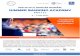 INSTITUTUL BANCAR ROMÂN: SUMMER BANKING ACADEMY - · PDF file1 INSTITUTUL BANCAR ROMÂN: SUMMER BANKING ACADEMY Ediţia a 3-a 4 – 7 iulie 2017 Membrii fondatori: şi Dr. Gabriela