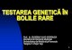 TESTAREA GENETICĂ ÎN BOLILE RARE - bolirareromania.ro · Dezvoltarea resurselor umane Dezvoltarea cadrului instituţional Dezvoltarea serviciilor pentru diagnostic, tratament, reabilitare