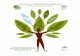 ZIUA INTERNAŢIONALĂ PENTRU SECURITATE ŞI SĂNĂTATE ÎN aprilie_Ziua internationala a... · PDF file 2012-04-25 · două teme: O economie verde în contextul dezvoltării durabile