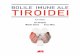 BOLILE IMUNE ALE TIROIDEI imune ale tiroidei - Dan Peretianu... Asocierea cu boala Graves-Basedow .....94 2.4.4.3. Asocierea tiroiditei cu dermatita alergică .....99 2.4.4.4. Asocierea